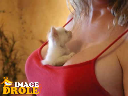 http://world-lolo.com/images/uploads/image.num1327255723.of.world-lolo.com.jpg