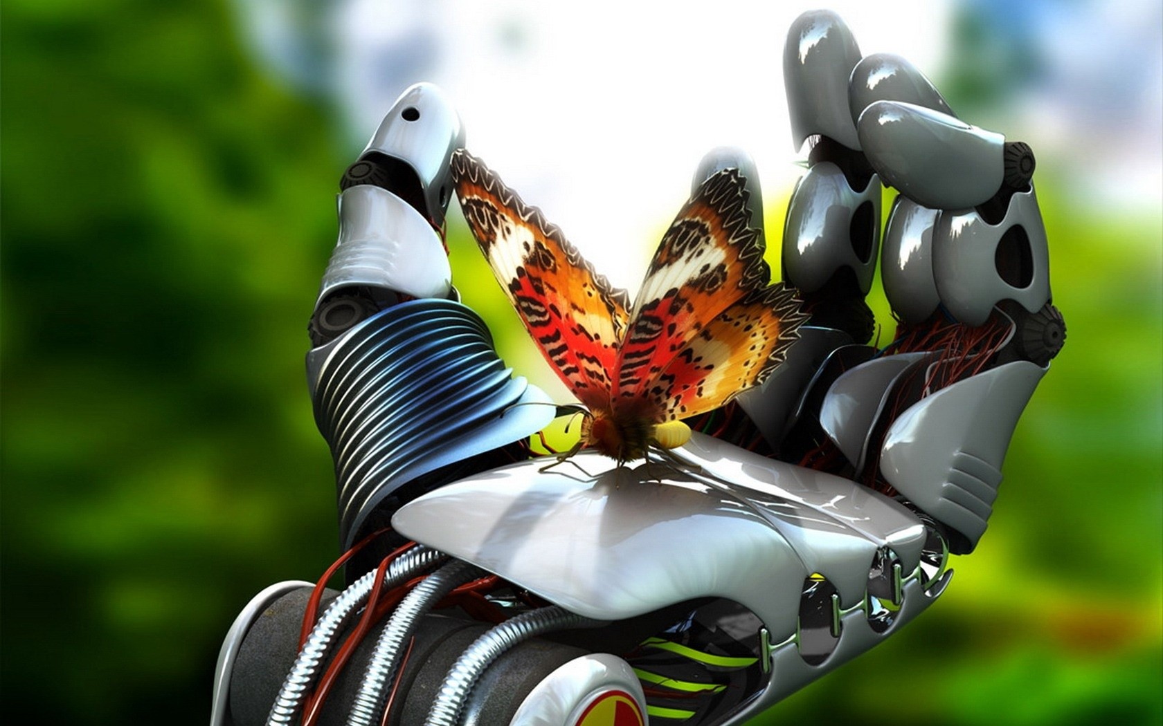 Robot Hand & Butterfly