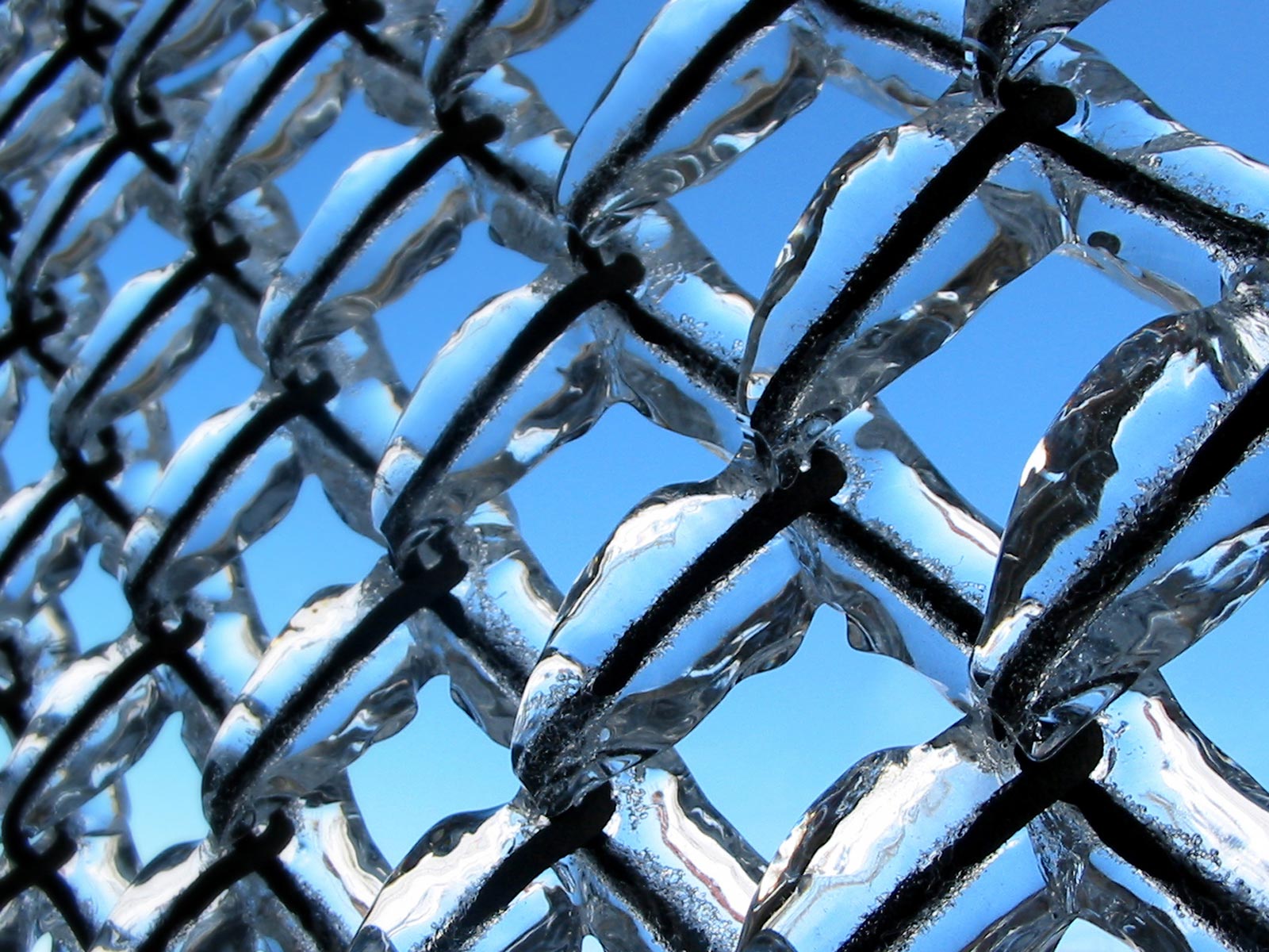 Ice Chain Link Fence